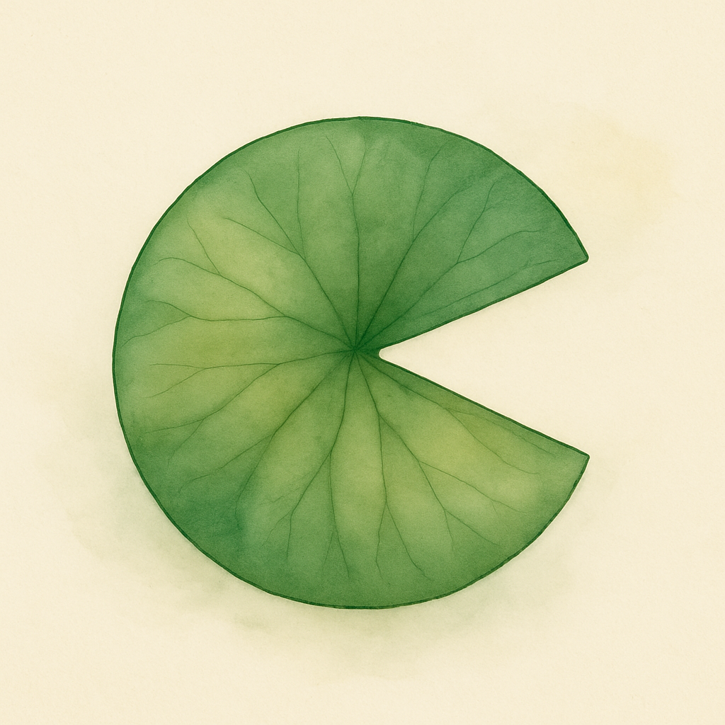 PondaBook icon